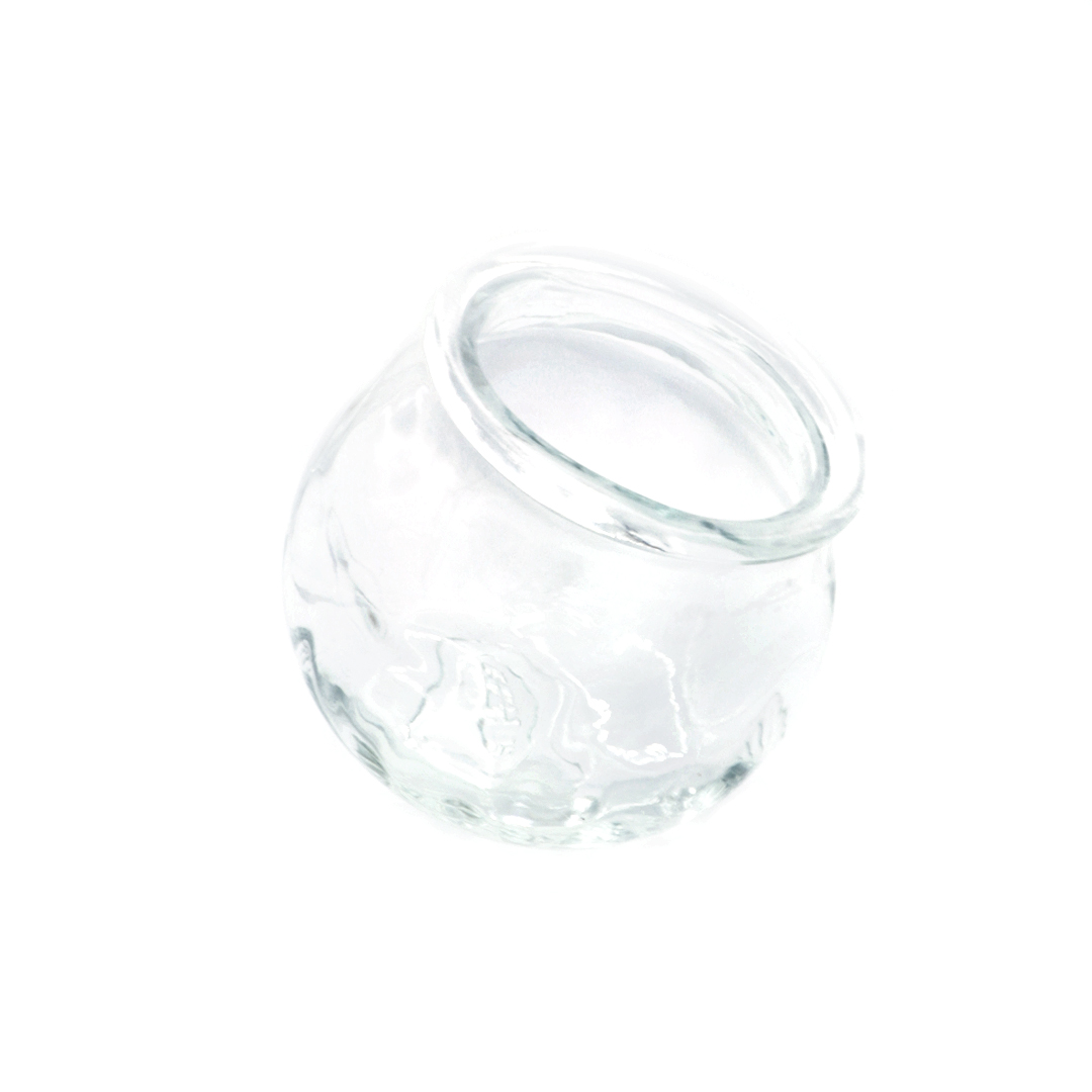 1 ventouse verre stérile diamètre interne 5,5 cm