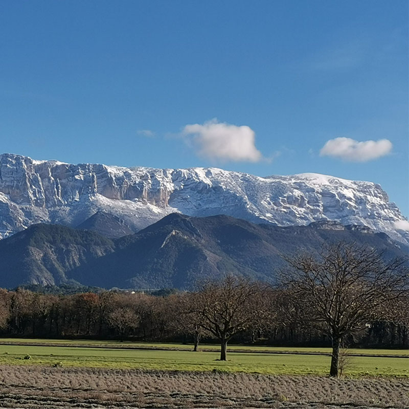 glandasse Glandasse à Die dans la Drôme.