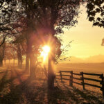 Week-end Harmonie. La Clé des Soins à Die. Drôme