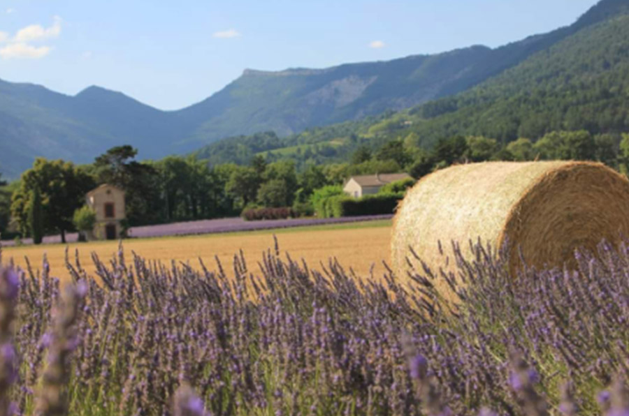 Die. Clé des soins. Médicine chinoise