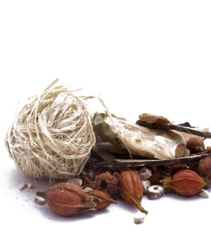 chu yu tang plantes entières pour décoction à usage externe et application locale pour éliminer les verrues