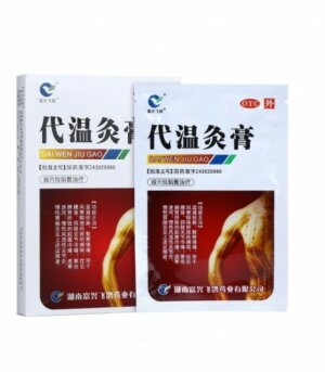 Patch Dai Wen - 16 warm plasters (substitut Moxa)
